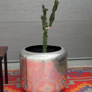 Paul Mayen Chrome Planter