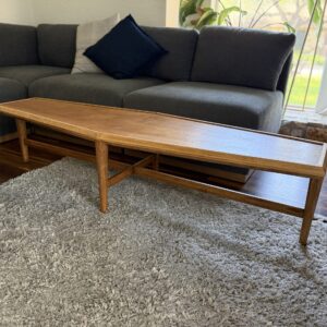 'Coffin' Coffee Table